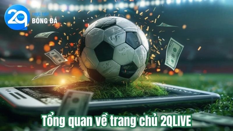Tổng quan về trang chủ 2QLIVE
