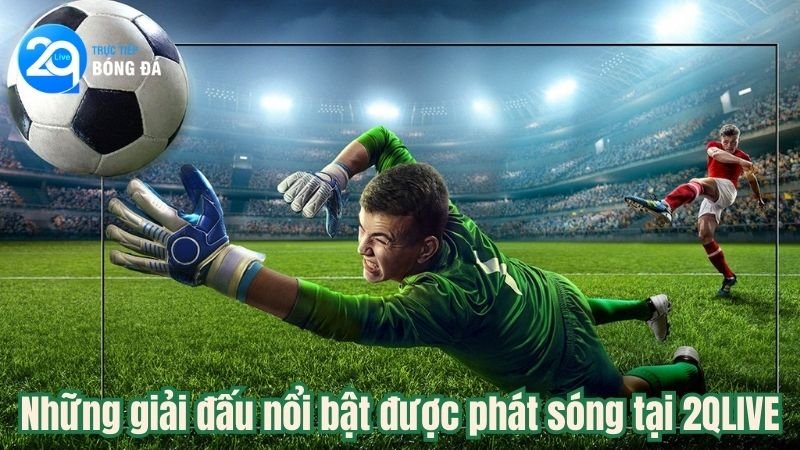 Những giải đấu nổi bật được phát sóng tại 2QLIVE