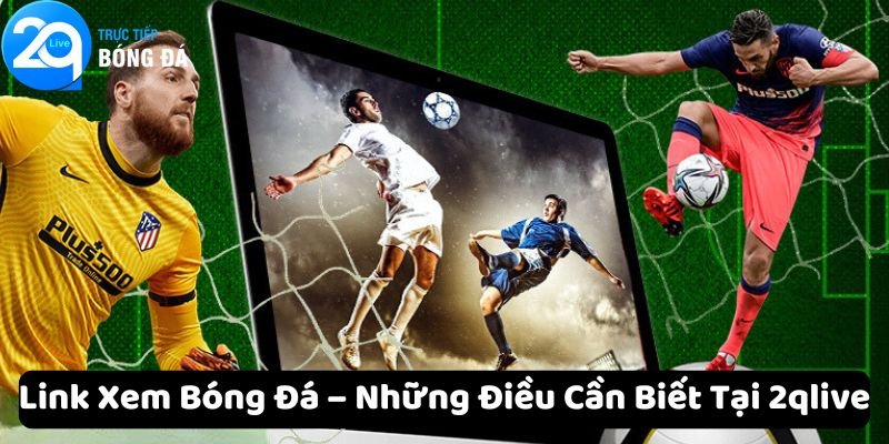 Link xem bóng đá tại 2QLIVE