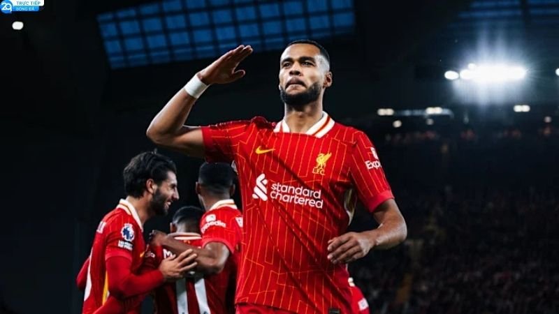 Soi Kèo Liverpool - Nhận Định Kèo Chắc Ăn Hôm Nay 3 soi-keo-liverpool-2