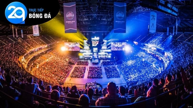 Cá Cược Esports 2Q: Hướng Dẫn Chi Tiết & Chiến Lược Hiệu Quả 4 Chiến lược và mẹo chơi cá cược eSports 2Q hiệu quả tối ưu nhất