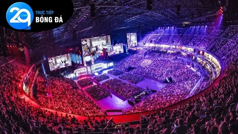 ca-cuoc-esports-2q