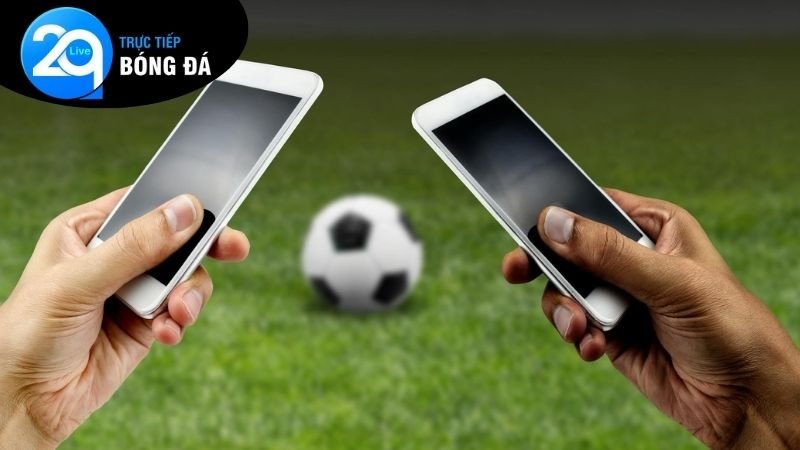 Các loại hình cược thể thao uy tín 2Q phổ biến và cách tham gia