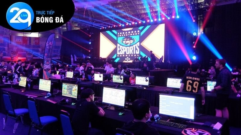 dat-keo-esports-2q