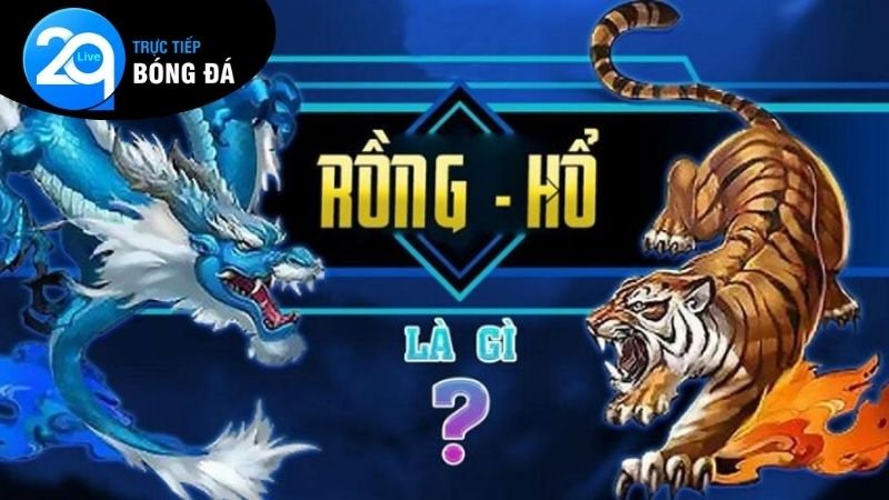 Rồng Hổ 2Q Đổi Thưởng - Bí Quyết Chiến Thắng Mỗi Ván Bài 2 Ưu điểm nổi trội nhất trong khi tham gia chơi rồng hổ 2Q đổi thưởng