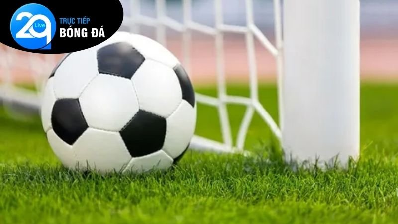 Xem Trực Tiếp Bóng Đá 2Q - Trải Nghiệm Trực Tuyến Đỉnh Cao 4 Mẹo để chơi cá cược trong khi đang xem trực tiếp bóng đá 2Q