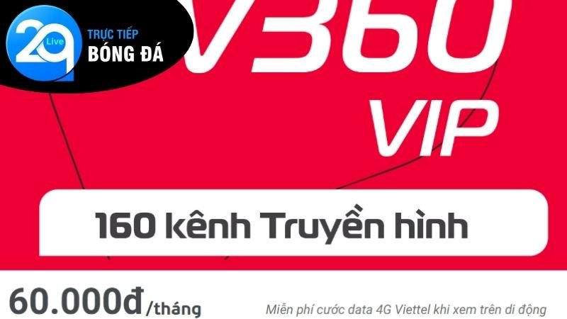 tv360
